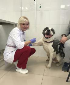 Баканина Елена Олеговна