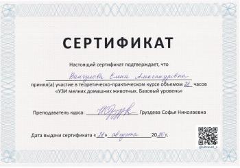 Сертификат сотрудника Вангулова Е.А.