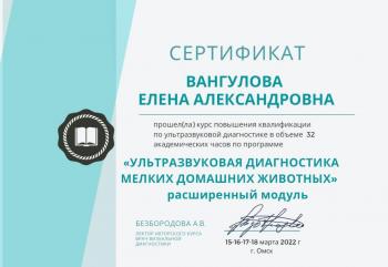 Сертификат сотрудника Вангулова Е.А.