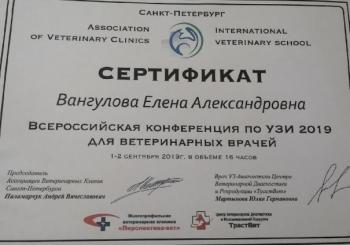 Сертификат сотрудника Вангулова Е.А.