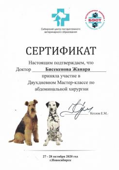 Сертификат сотрудника Бисекенова Ж.К.