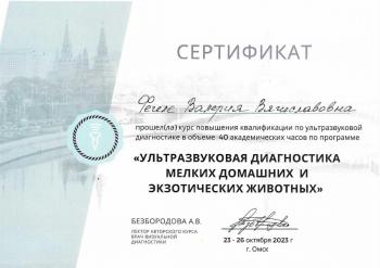 Сертификат сотрудника Фегеле В.В.