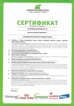 Сертификат сотрудника Бисекенова Ж.К.
