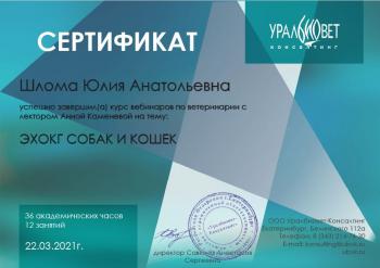 Сертификат сотрудника Шлома Ю.А.
