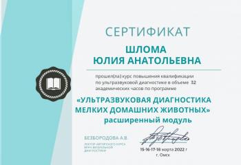 Сертификат сотрудника Шлома Ю.А.