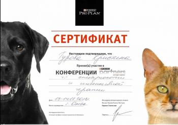 Сертификат сотрудника Турова К.И.