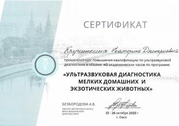 Сертификат сотрудника Кручинкина Е.Д.