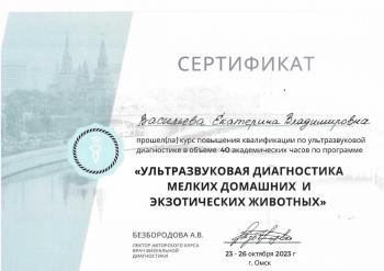 Сертификат сотрудника Васильева Е.В.