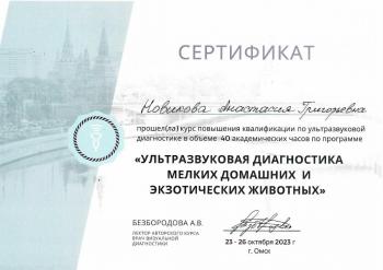 Сертификат сотрудника Новикова А.Г.