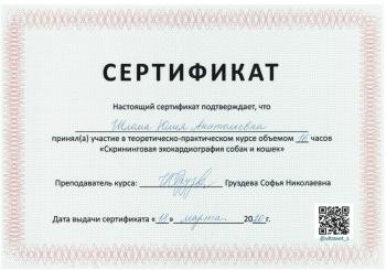 Сертификат сотрудника Шлома Ю.А.