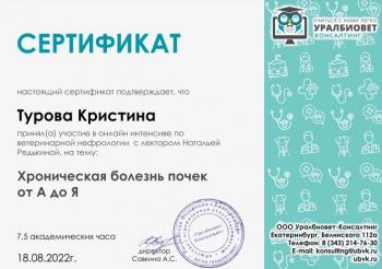 Сертификат сотрудника Турова К.И.