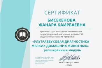Сертификат сотрудника Бисекенова Ж.К.