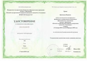 Сертификат сотрудника Турова К.И.