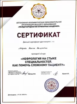 Сертификат сотрудника Мастерских Д.В.