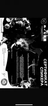 Сертификат сотрудника Мастерских Д.В.