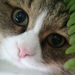 Юлия Бескова