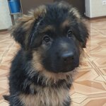 лилия ю.