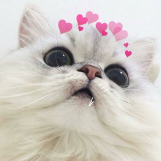 геля