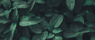 Люба 💚💚💚