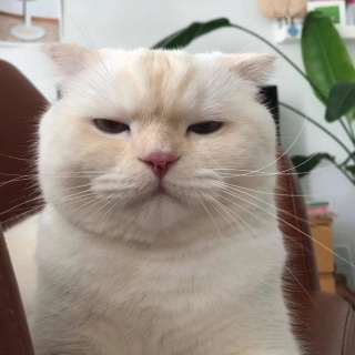 А А