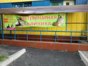 Фотография Астарта 5
