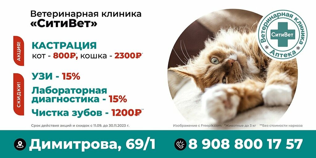 слайд