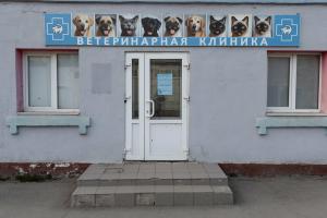 Фотография Симба 5