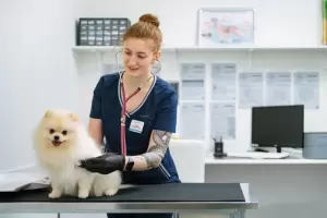 Фотография Евровет 2