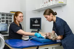 Фотография Евровет 4