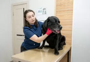 Фотография Ультравет 5