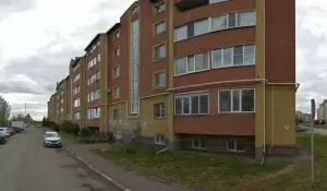 Фотография Дружок 2