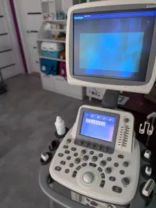 Фотография Снежный Барс 2