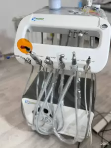 Фотография Снежный Барс 0