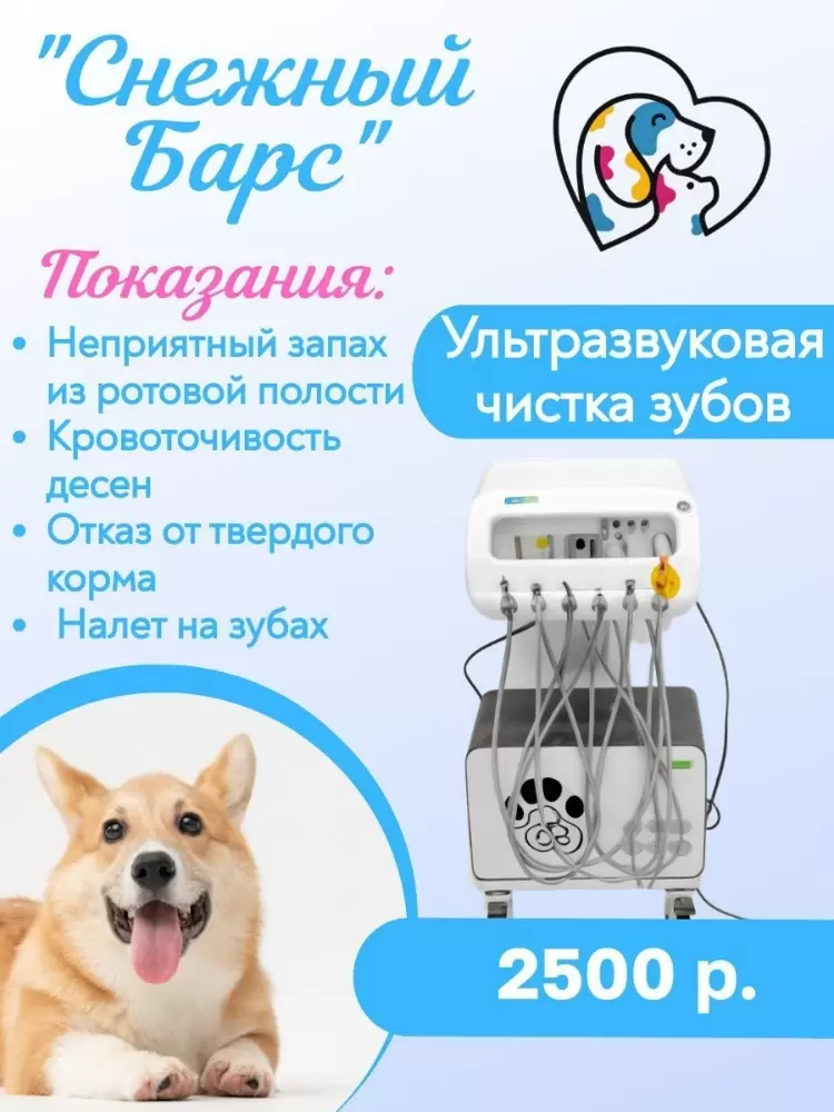 слайд