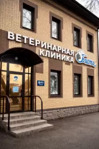 Фотография Биота 0