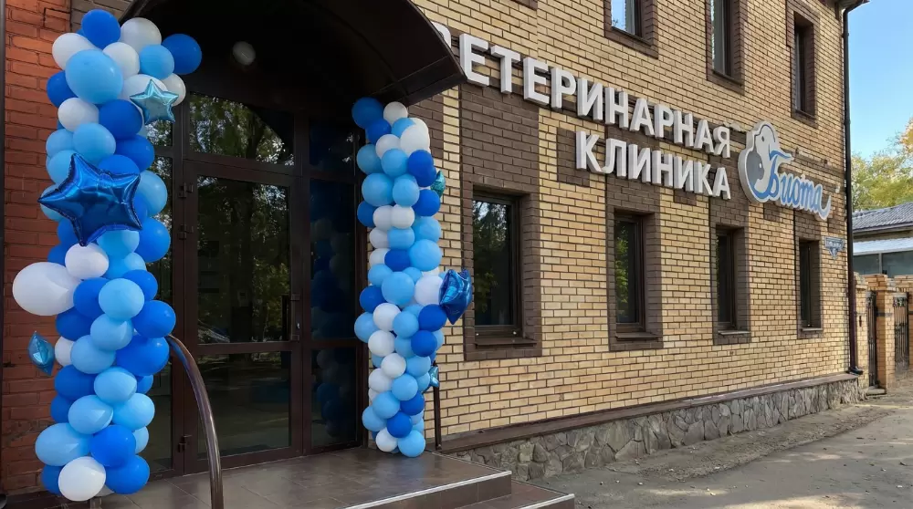 слайд