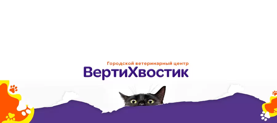слайд