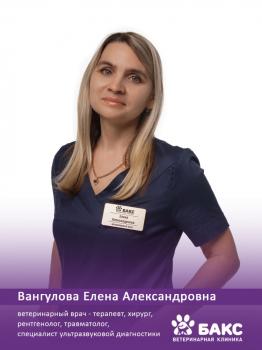 Вангулова Елена Александровна