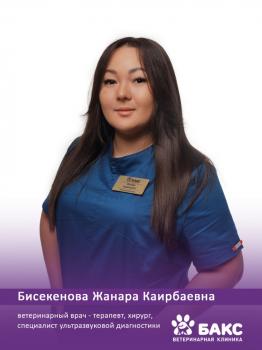 Бисекенова Жанара Каирбаевна