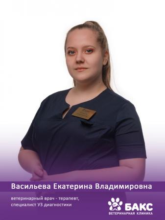 Васильева Екатерина Владимировна