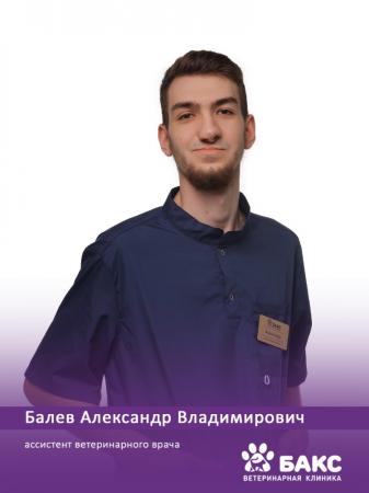 Балев Александр Владимирович