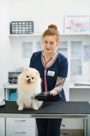 Попова Анастасия Сергеевна