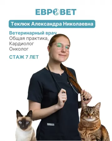 Теклюк Александра Николаевна