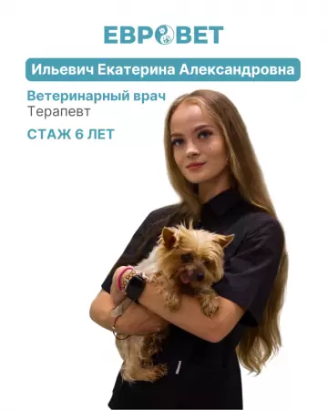 Ильевич Екатерина Александровна