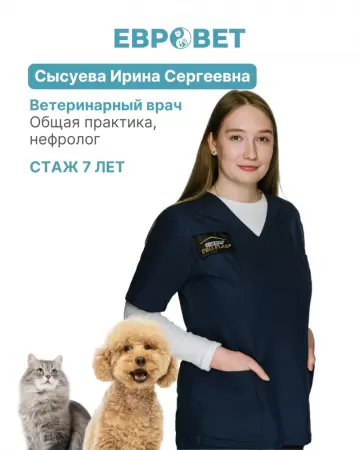 Сысуева Ирина Сергеевна