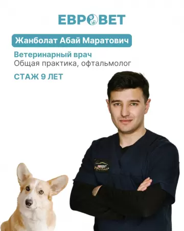 Жанболат Абай Маратович