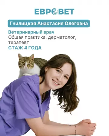 Гнилицкая Анастасия Олеговна