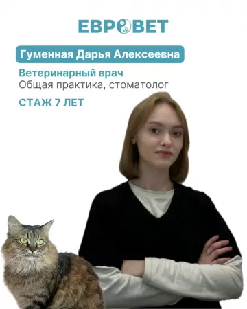 Гуменная Дарья Алексеевна