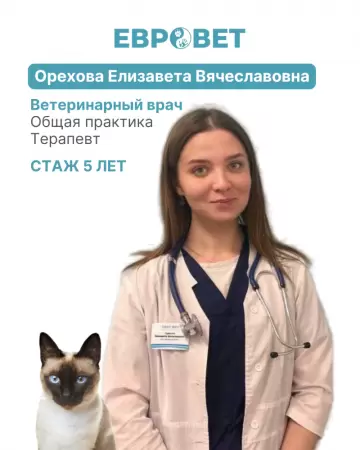 Орехова Елизавета Вячеславовна