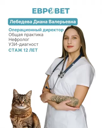 Лебедева Диана Валерьевна